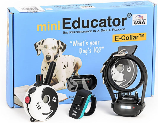 E-Collar Humane Dog Training Collar with Remote, 100 Safe Tapping Stimulation Levels, Night Light, Waterproof, Rechargeable, 1/2 Mile 1 Small-Medium Dog, Zen